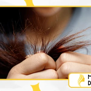 Como Evitar Pontas Duplas Sem Cortar o Cabelo