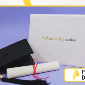 Conquiste Seu Diploma com um Bacharelado Online Acessível e Reconhecido