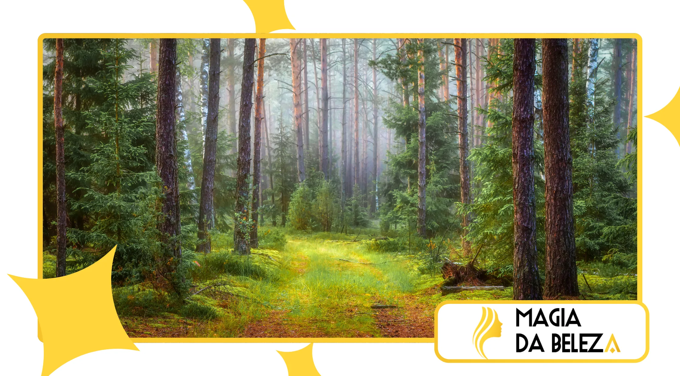 Benefícios do nature bathing