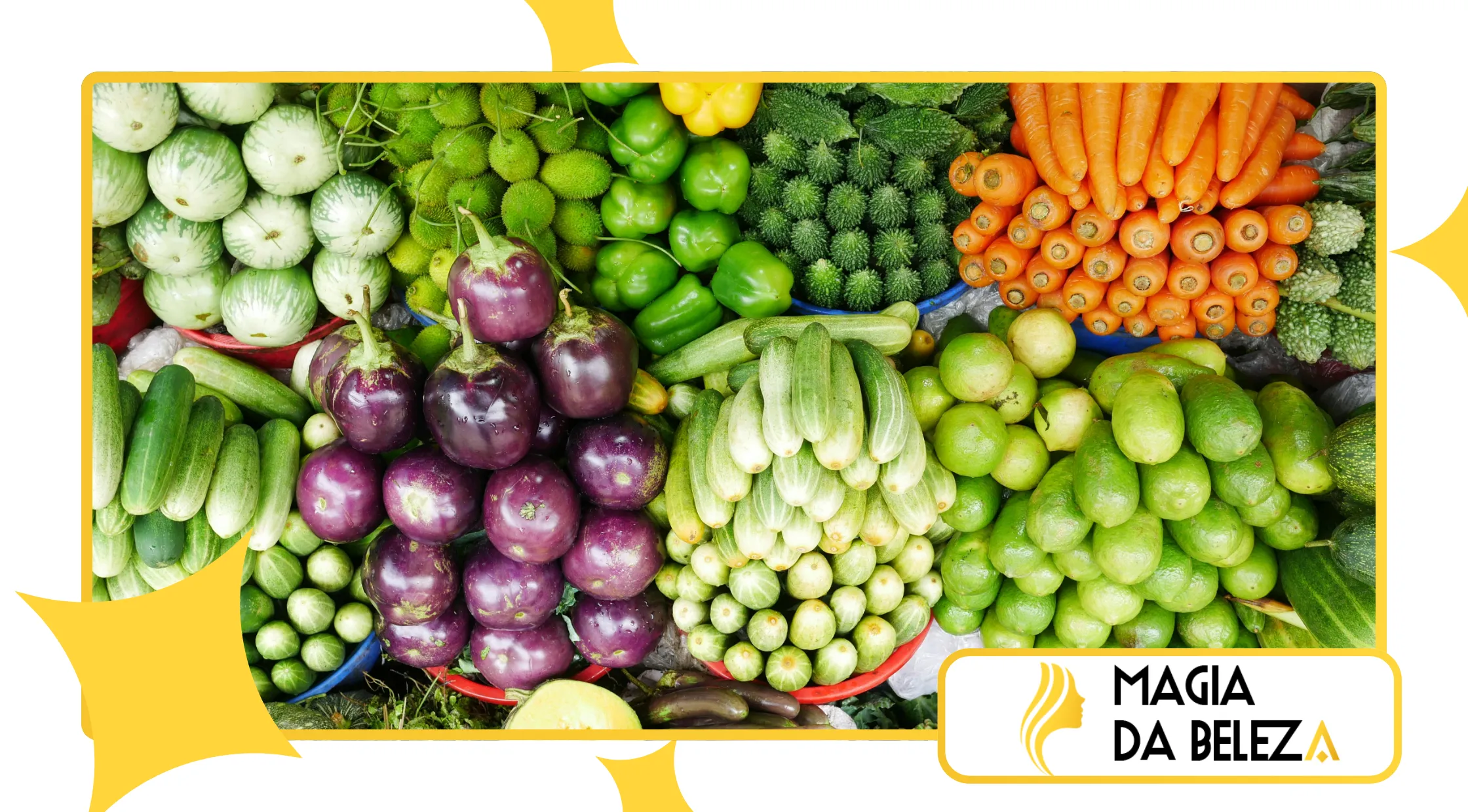 fibra prebiótica melhora saúde intestinal