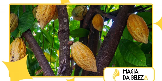 Benefícios do cacau puro natural para humor e ansiedade