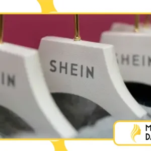 Por Que o Programa SHEIN Chama Atenção