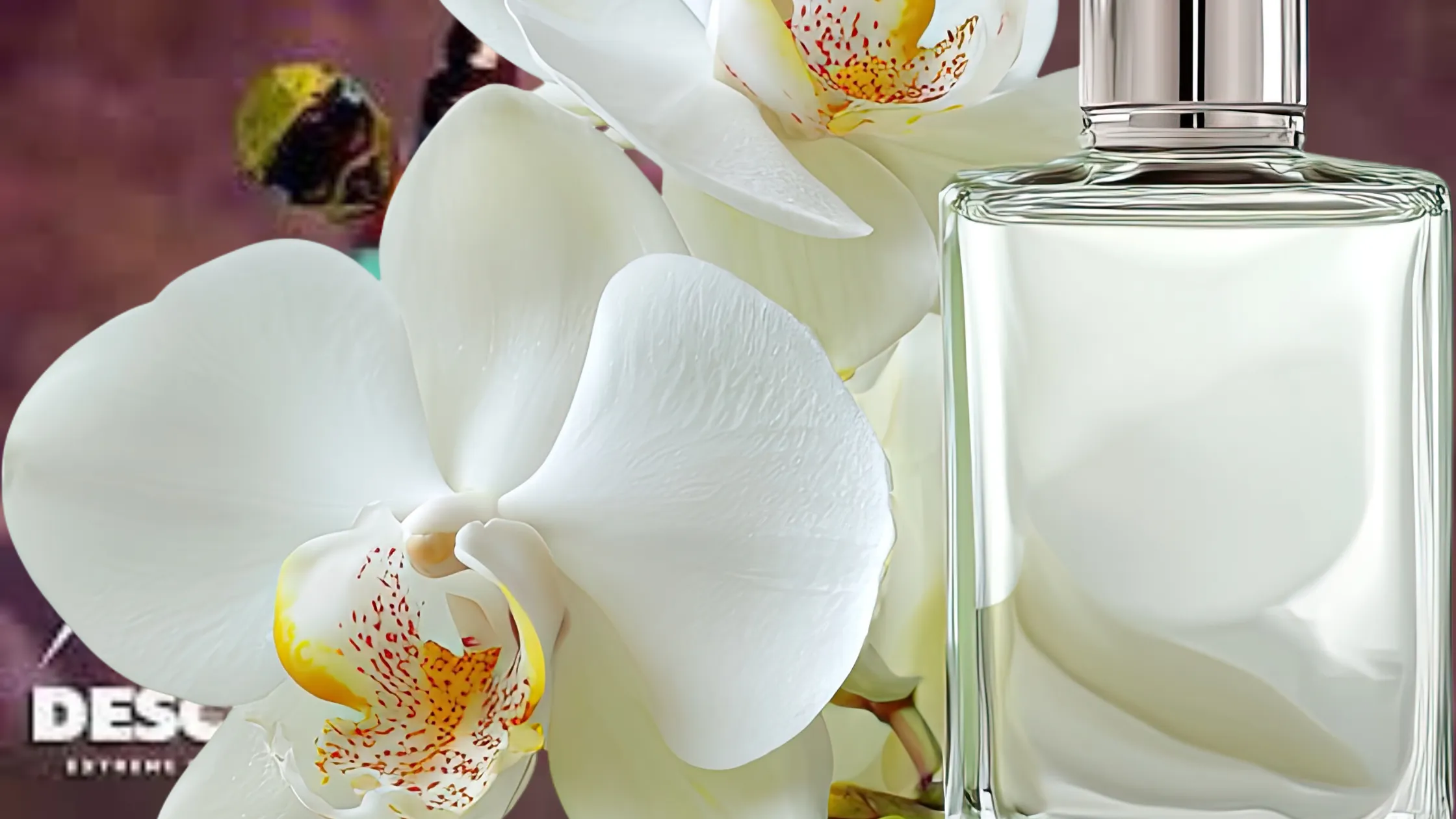 fragrance layering