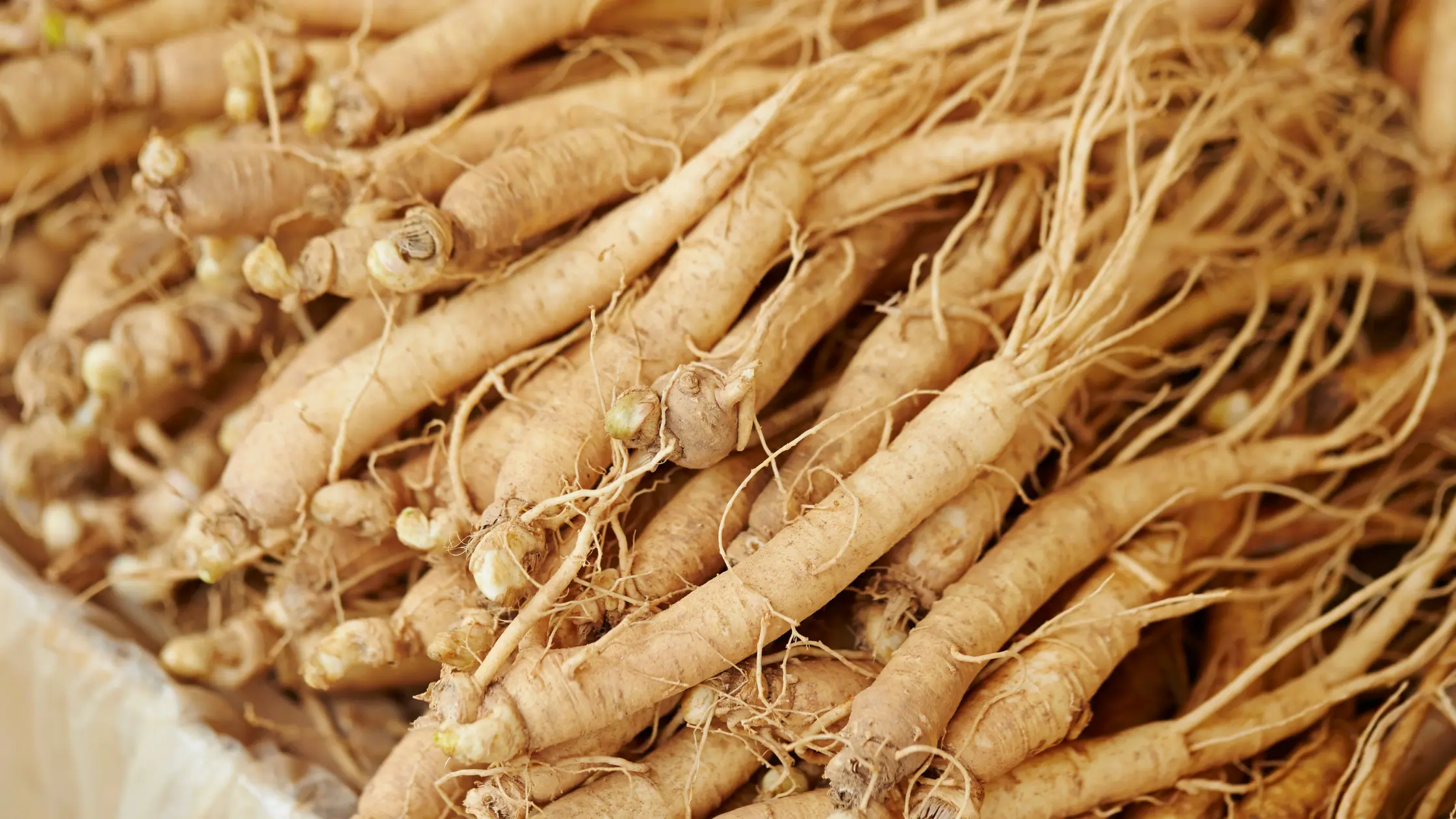 Ginseng no skincare